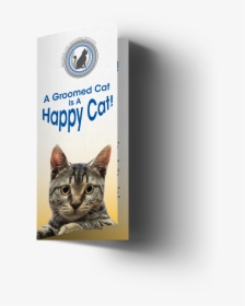 Happy Cat Png - Domestic Short-haired Cat, Transparent Png, Transparent PNG