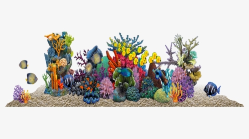 Coral Reef Png, Transparent Png, Transparent PNG