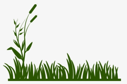 Banner Royalty Free Download Swamp Clipart Spring Free - Black And White Grass, HD Png Download, Transparent PNG