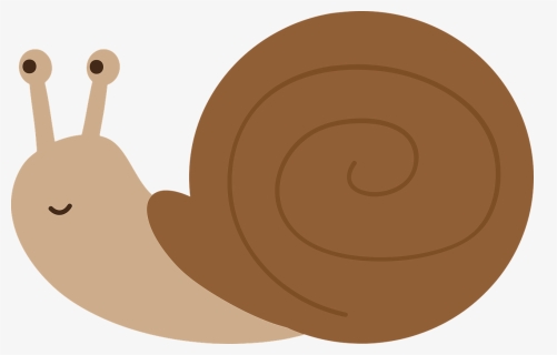 Snail, Molluscum, Shell, Nature, Field - Cartoon Transparent Snail, HD Png Download, Transparent PNG