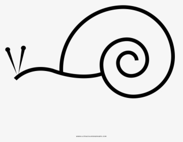 Caracol Página Para Colorear - Snail Png Icon, Transparent Png, Transparent PNG