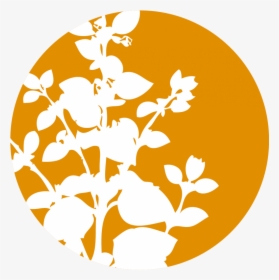 Tea Tree Essential Oil - Citronella Icon Png, Transparent Png, Transparent PNG