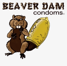 Transparent Dam Png - Beaver Dam Condoms, Png Download, Transparent PNG