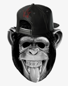 Funny Monkey, HD Png Download, Transparent PNG
