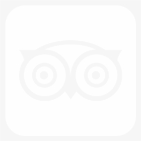 Tripadvisor - Owl Logos With Names, HD Png Download, Transparent PNG