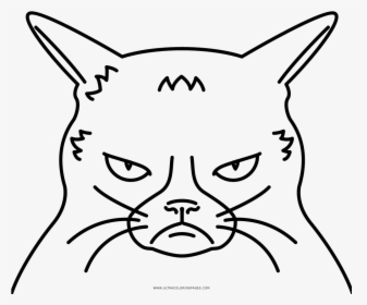 Grumpy Cat Coloring Page - Free Grumpy Cat Coloring Pages, HD Png Download, Transparent PNG