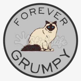 Forever Grumpy Cat Circle Car Magnet - E Pluribus Unum One Dollar Coin 1900, HD Png Download, Transparent PNG