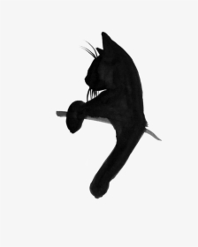Grumpy Cat Tattoos Kitten T-shirt Black Cat - Cat Tattoo White Background, HD Png Download, Transparent PNG