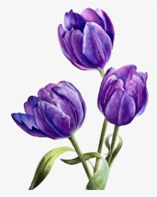 Watercolor Flowers Png Download - Purple Png Watercolor Flowers, Transparent Png, Transparent PNG