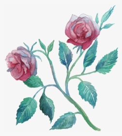 Flower Watercolor Painting Clip Art Transprent Png - Garden Roses, Transparent Png, Transparent PNG