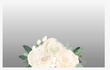 White Watercolor Flowers - Garden Roses, HD Png Download, Transparent PNG