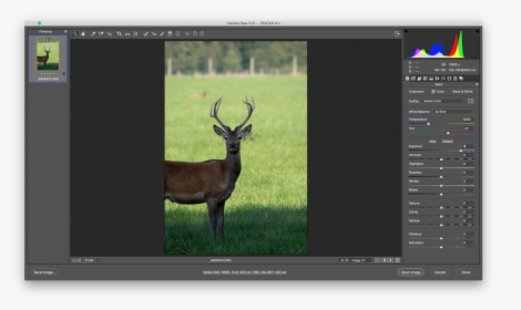 Picture - Reindeer, HD Png Download, Transparent PNG