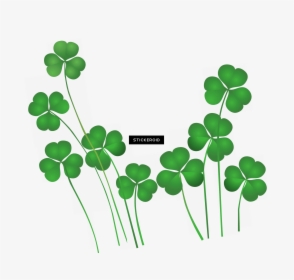 Saint Patrick S Day - Transparent St Patrick's Day Clipart, HD Png Download, Transparent PNG