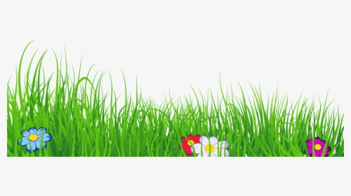 Ground Clipart Clear Background Grass - Transparent Background Grass Clipart, HD Png Download, Transparent PNG