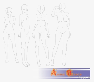 Anime Base - Line Art, HD Png Download - 905x1280(#3840007) - PngFind