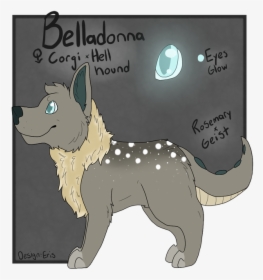 Picture - Companion Dog, HD Png Download, Transparent PNG