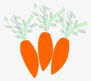 Heart,food,carrot, HD Png Download, Transparent PNG