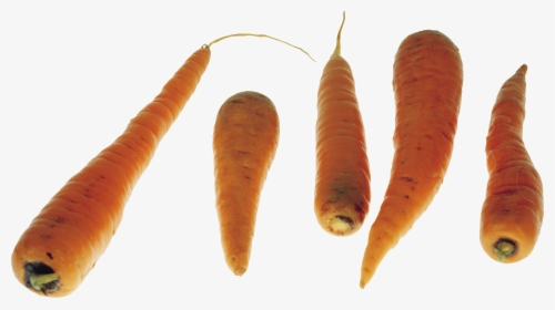 Download This High Resolution Carrot Png Picture - Carrot, Transparent Png, Transparent PNG