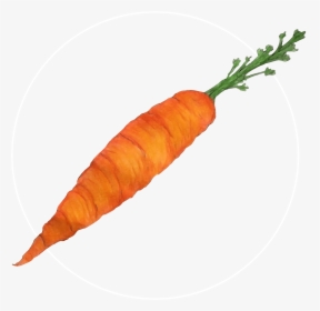 Attribute Motif Carrot White - Baby Carrot, HD Png Download, Transparent PNG