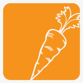 Carrot, HD Png Download, Transparent PNG