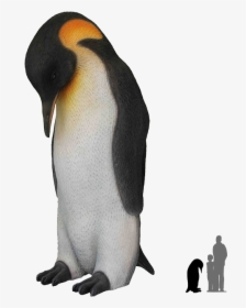 Emperor Penguin Clear Backgrounds, HD Png Download, Transparent PNG