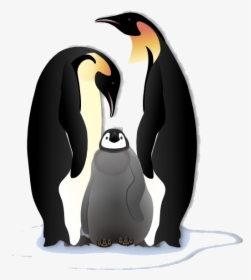 Penguin Free Content Emperor Flightless Bird King Transparent - New Born Penguin Onesie, HD Png Download, Transparent PNG