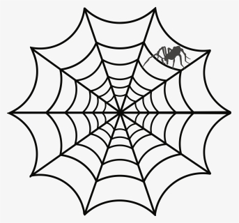 Spider Web Drawing Sketch - Spider Web Clipart Transparent Background, HD Png Download, Transparent PNG