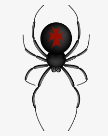 Crusader Spider Transparent Png Clip Art Image - Spider Transparent Background, Png Download, Transparent PNG