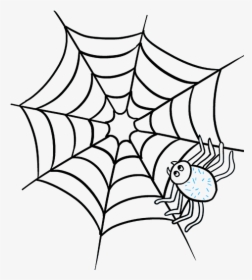 Spider Realistic Drawing - Spider Web Clipart Black And White, HD Png Download, Transparent PNG