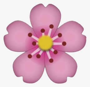 #flower #emoji #emoticon #sticker #tumblr #new #pink - Transparent Flower Emoji Png, Png Download, Transparent PNG