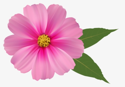 Png Bbcpersian Collections Free - Transparent Background Flower Png, Png Download, Transparent PNG