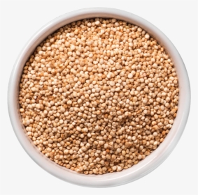 Chickpea, HD Png Download, Transparent PNG