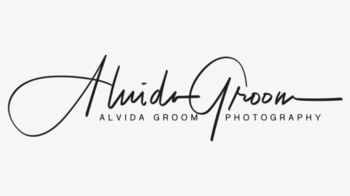 Alvida Groom Photography - Calligraphy, HD Png Download, Transparent PNG