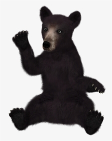 Thumb Image - Black Bear Clipart Transparent Background, HD Png Download, Transparent PNG