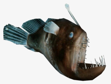 Anglerfish , Png Download - Zoo Tycoon 2 Anglerfish, Transparent Png, Transparent PNG