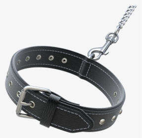 Dog Collar Png - Dog Collar 3d Model, Transparent Png, Transparent PNG