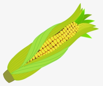 Corn Icon Png, Transparent Png, Transparent PNG