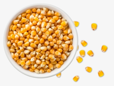 Popcorn Kernels In Bowl, HD Png Download, Transparent PNG