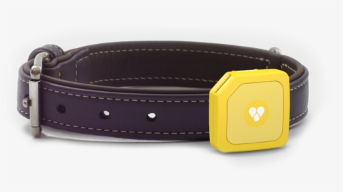 Tips On Where To Buy The Most Reliable Gps Dog Collar - Strap, HD Png Download, Transparent PNG