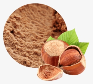 Granel 2,5 L Avellana Reus Premium - Ice Cream, HD Png Download, Transparent PNG