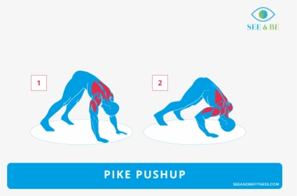 Push Up Rows Muscles, HD Png Download, Transparent PNG