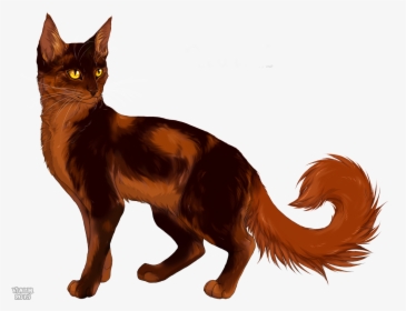 Redtail - Redtail Oakheart Warrior Cats, HD Png Download, Transparent PNG