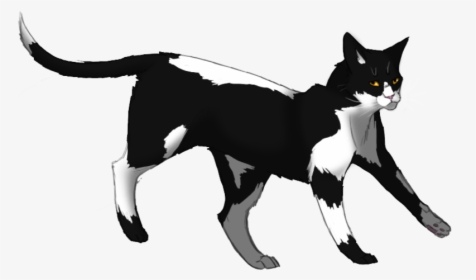Swiftpaw - Warrior Cats Swiftpaw, HD Png Download, Transparent PNG
