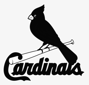 Black St Louis Cardinals Logo, HD Png Download, Transparent PNG