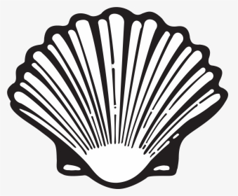 Shell - Shell Logo Evolution, HD Png Download, Transparent PNG