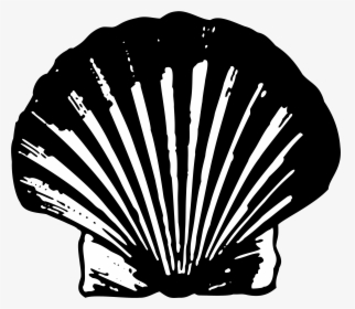 Shell - Royal Dutch Shell 1909 Logo, HD Png Download, Transparent PNG