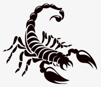 Logo Scorpions Scorpion Drawing Download Hq Png Clipart - Scorpion Logo, Transparent Png, Transparent PNG