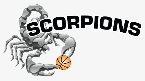 Scorpion Basketball, HD Png Download, Transparent PNG