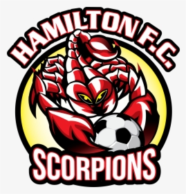 Hamilton Scorpions, HD Png Download, Transparent PNG