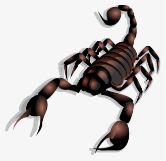 Scorpion Clip Art, HD Png Download, Transparent PNG
